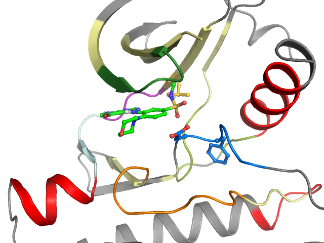 The orthosteric binding pocket