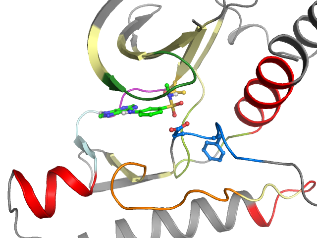 The orthosteric binding pocket