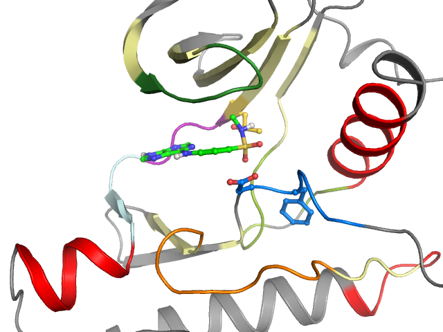 The orthosteric binding pocket