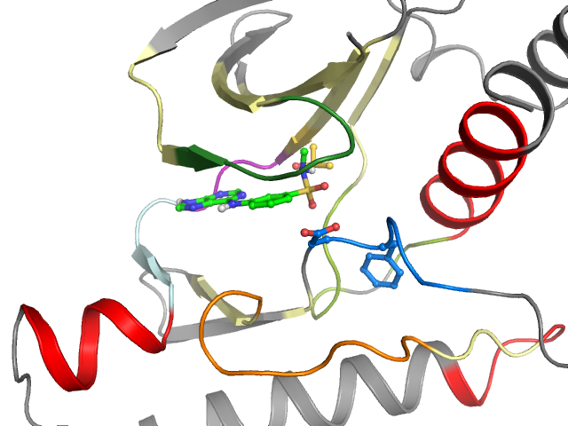 The orthosteric binding pocket