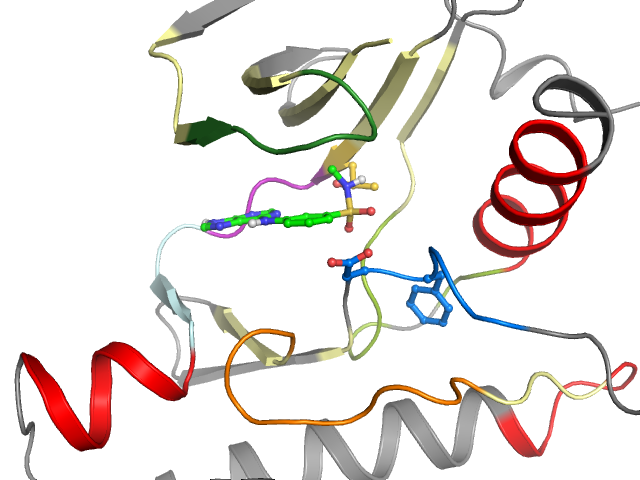 The orthosteric binding pocket