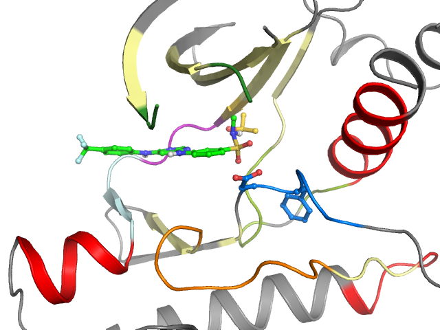 The orthosteric binding pocket