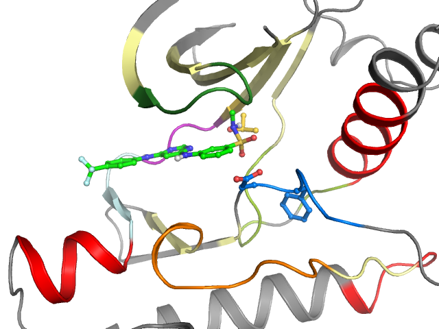 The orthosteric binding pocket