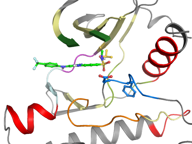 The orthosteric binding pocket