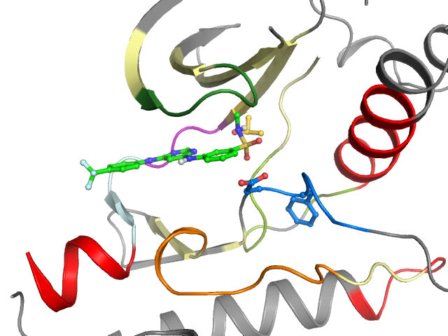 The orthosteric binding pocket