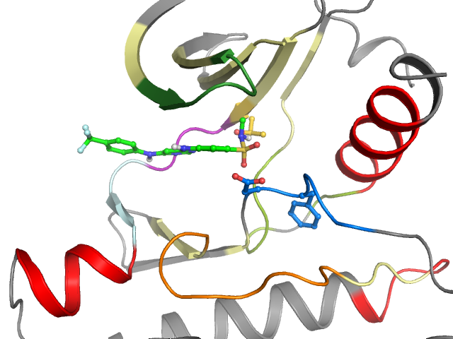 The orthosteric binding pocket