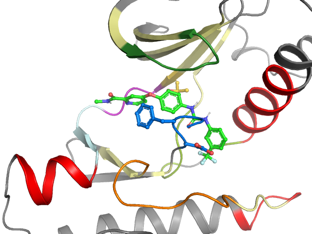 The orthosteric binding pocket