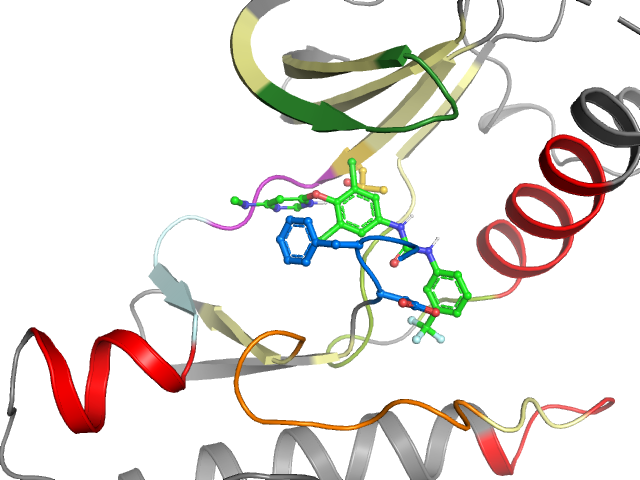 The orthosteric binding pocket