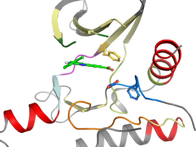 The orthosteric binding pocket