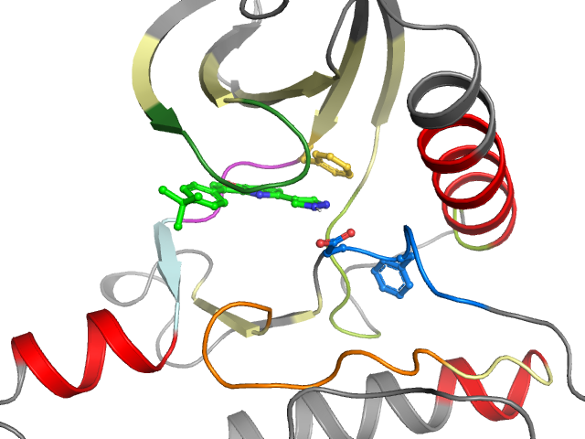 The orthosteric binding pocket