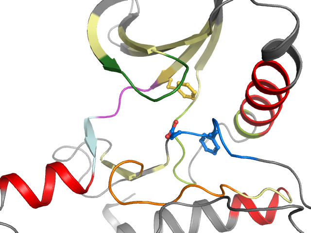 The orthosteric binding pocket