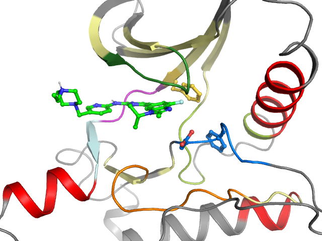The orthosteric binding pocket