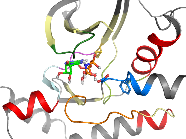 The orthosteric binding pocket