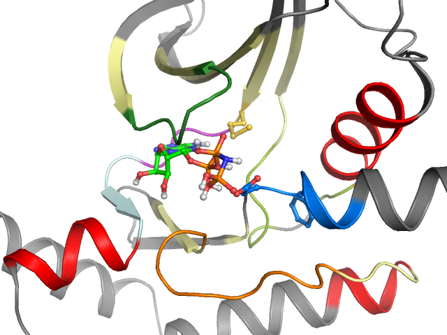 The orthosteric binding pocket