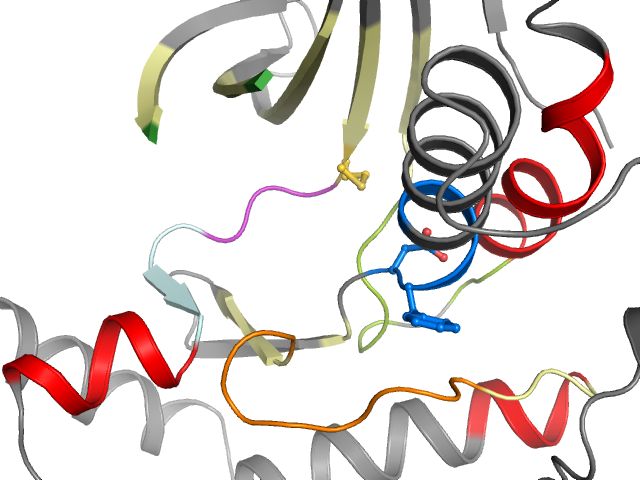 The orthosteric binding pocket