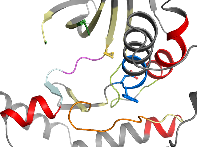 The orthosteric binding pocket