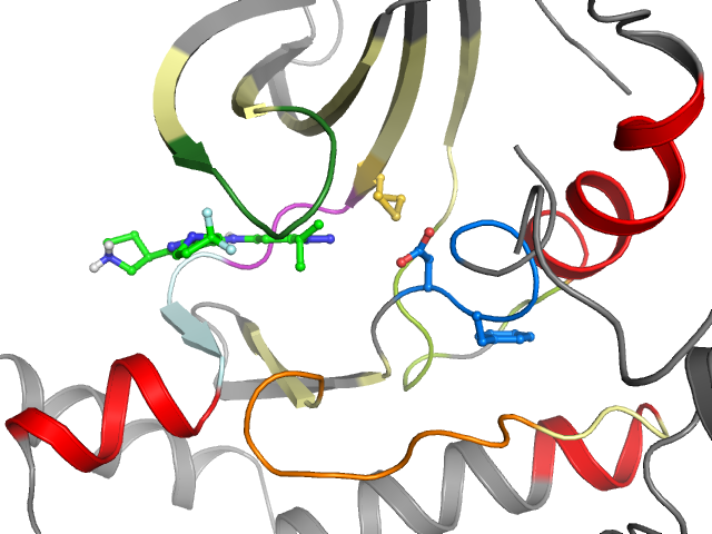 The orthosteric binding pocket