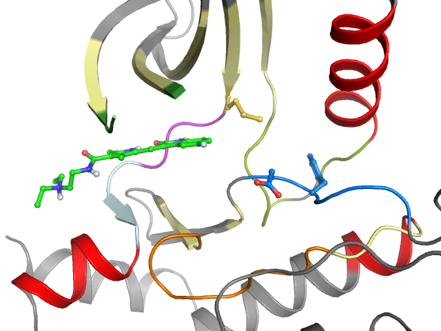 The orthosteric binding pocket