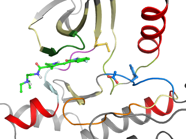 The orthosteric binding pocket