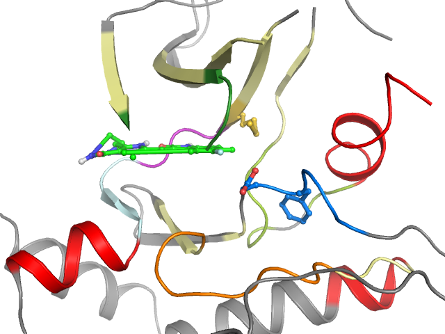 The orthosteric binding pocket