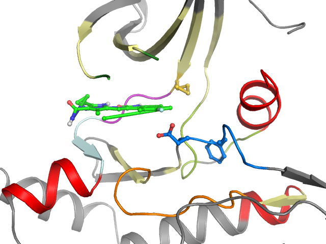 The orthosteric binding pocket