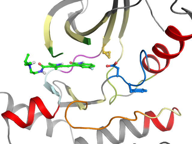 The orthosteric binding pocket