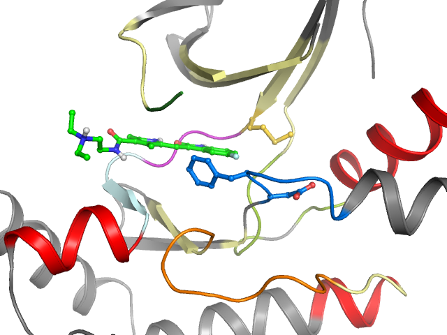 The orthosteric binding pocket