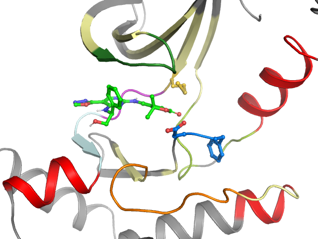 The orthosteric binding pocket