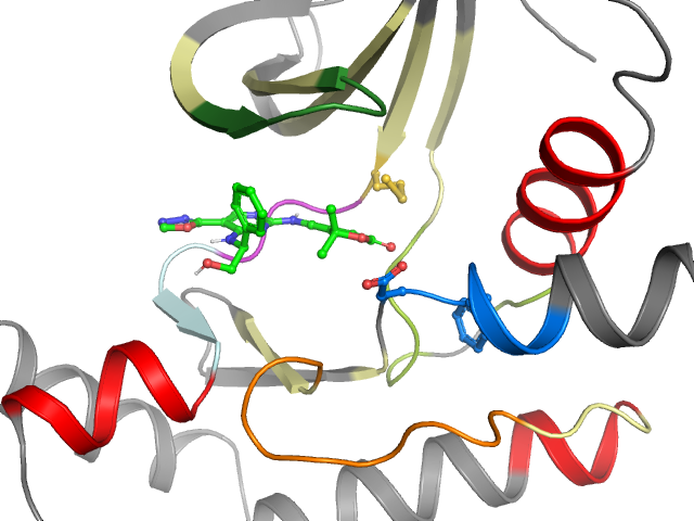 The orthosteric binding pocket