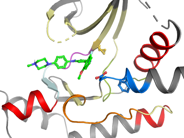The orthosteric binding pocket