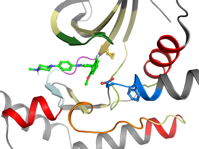 The orthosteric binding pocket