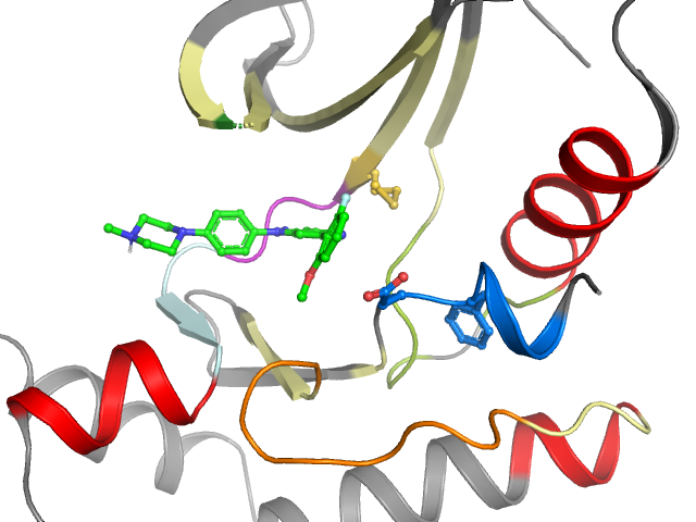 The orthosteric binding pocket
