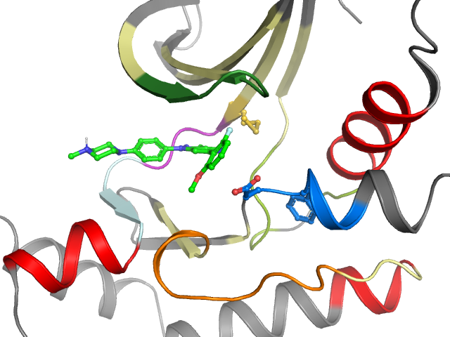 The orthosteric binding pocket