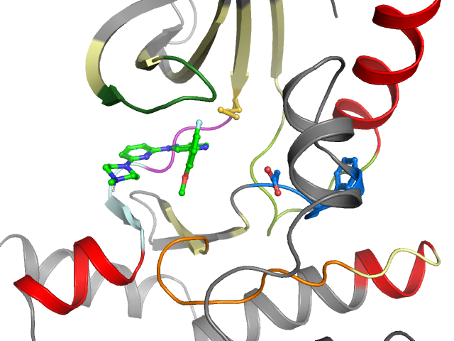 The orthosteric binding pocket
