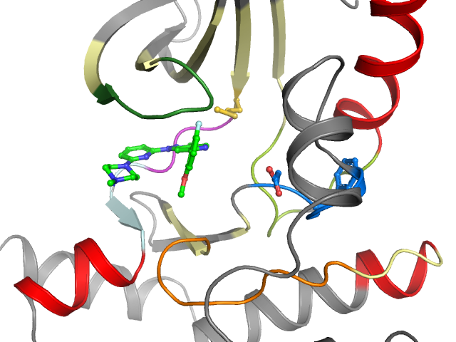 The orthosteric binding pocket