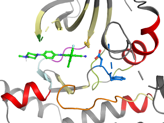 The orthosteric binding pocket
