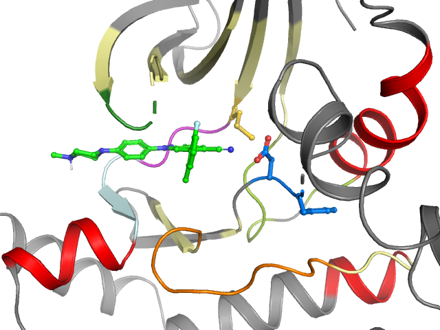 The orthosteric binding pocket