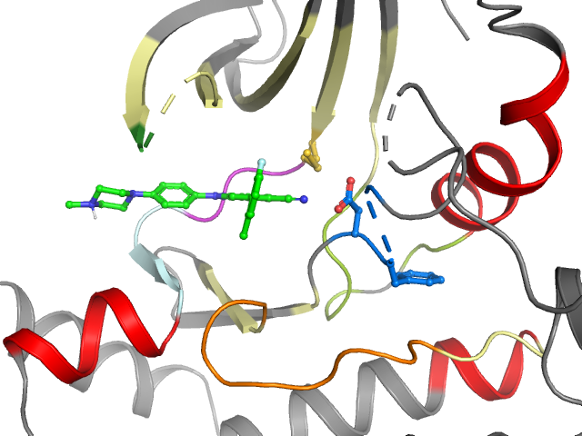 The orthosteric binding pocket