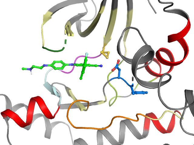 The orthosteric binding pocket