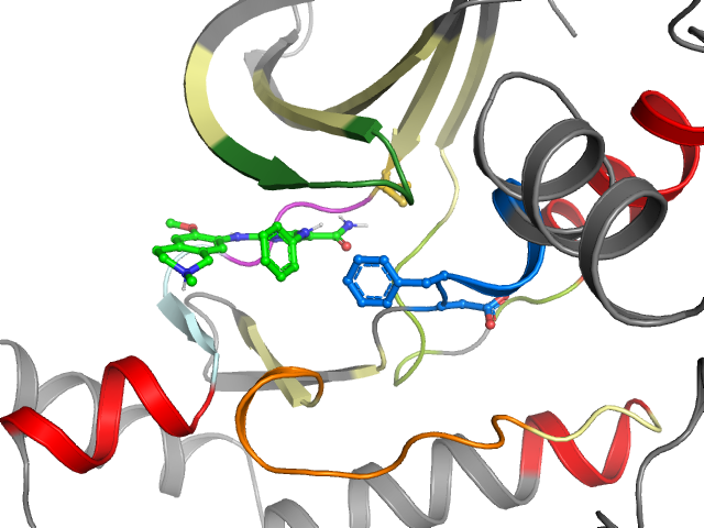 The orthosteric binding pocket
