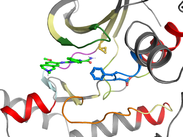 The orthosteric binding pocket