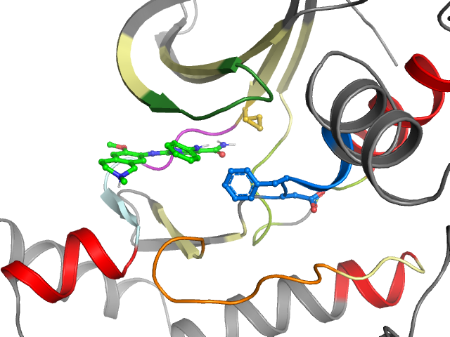 The orthosteric binding pocket