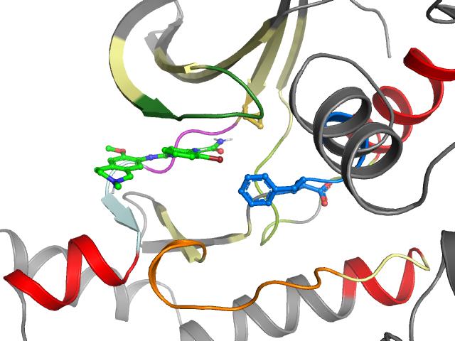 The orthosteric binding pocket