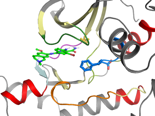 The orthosteric binding pocket