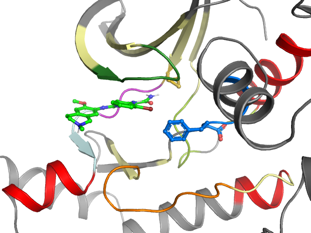 The orthosteric binding pocket