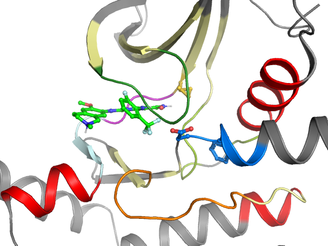 The orthosteric binding pocket