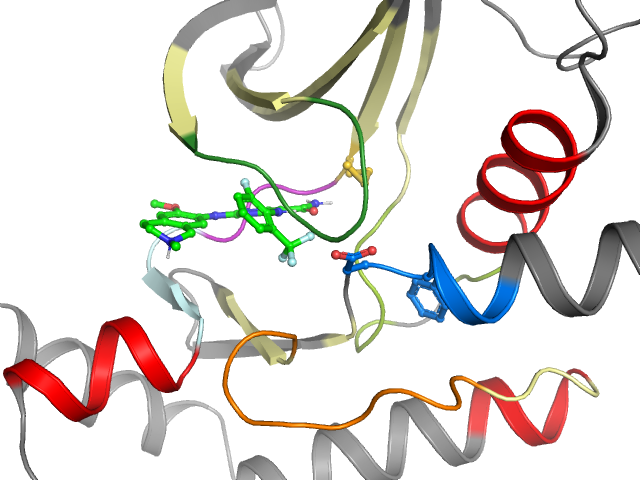 The orthosteric binding pocket