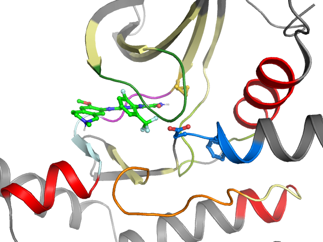 The orthosteric binding pocket