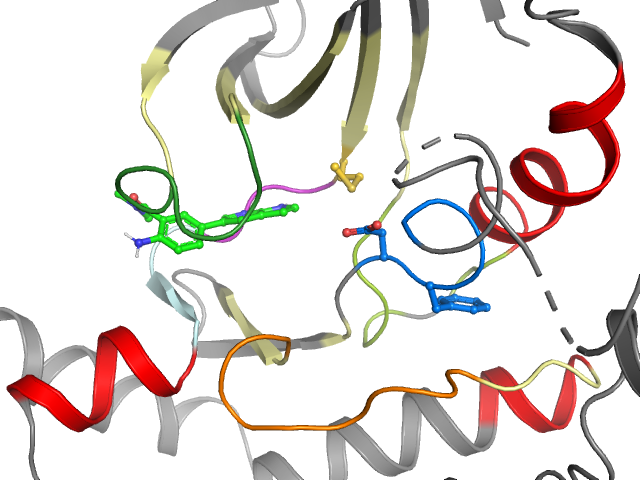 The orthosteric binding pocket