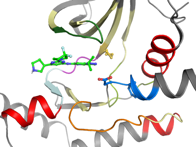 The orthosteric binding pocket